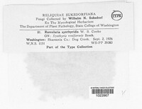 Image Associated With the Occurence